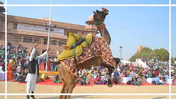 Bikaner Camel Festival