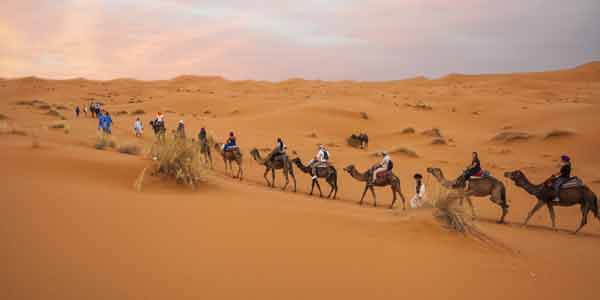 Rajasthan Adventure Tours