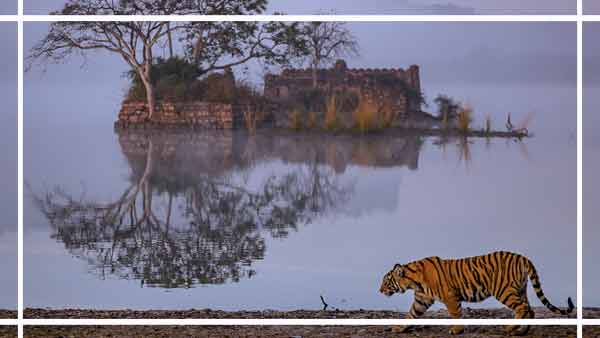 Ranthambore Monuments