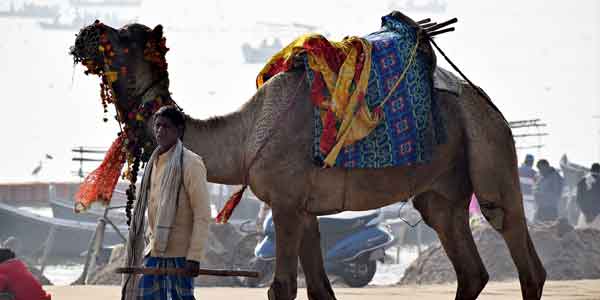 Things To Do In Rajasthan