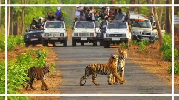 Sariska Tiger Reserve / Sariska National Park